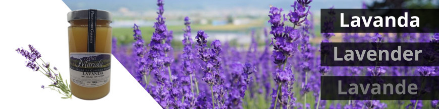 Lavanda