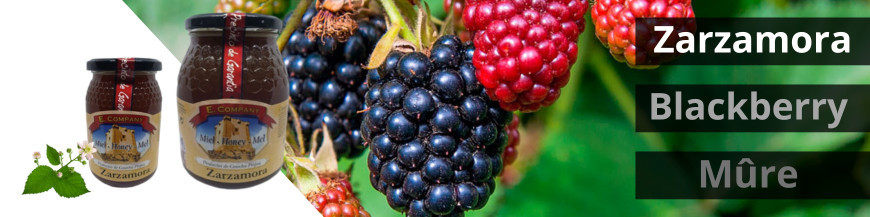 Blackberry honey