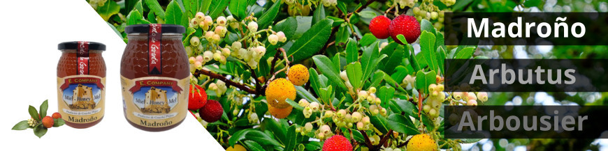 Arbutus