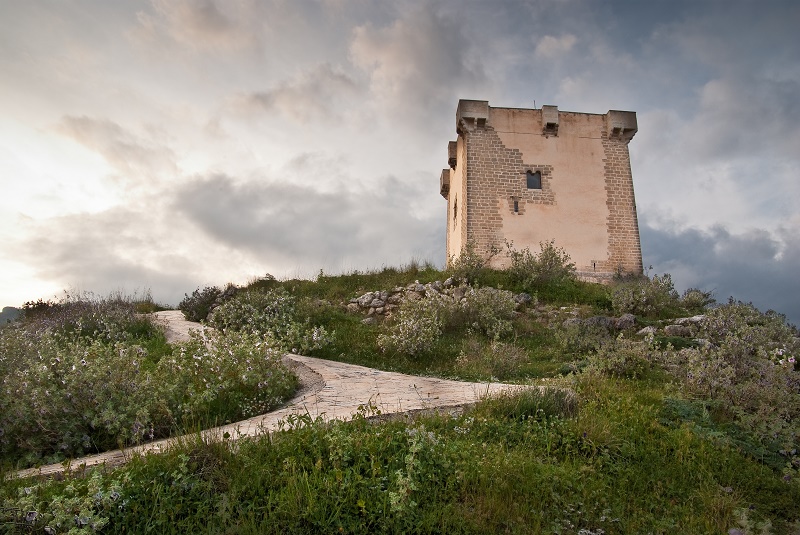 Miel de Cocentaina - Alicante