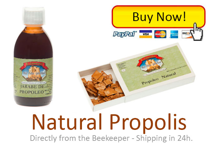 buy-natural-propolis-big