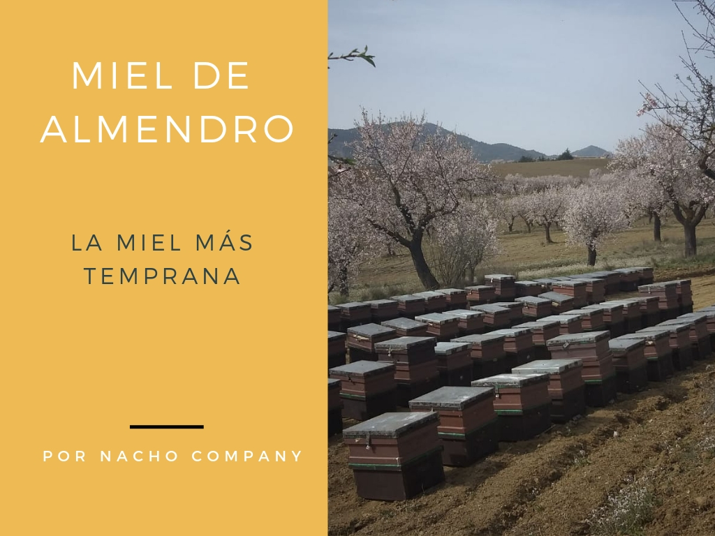 miel del almendro online