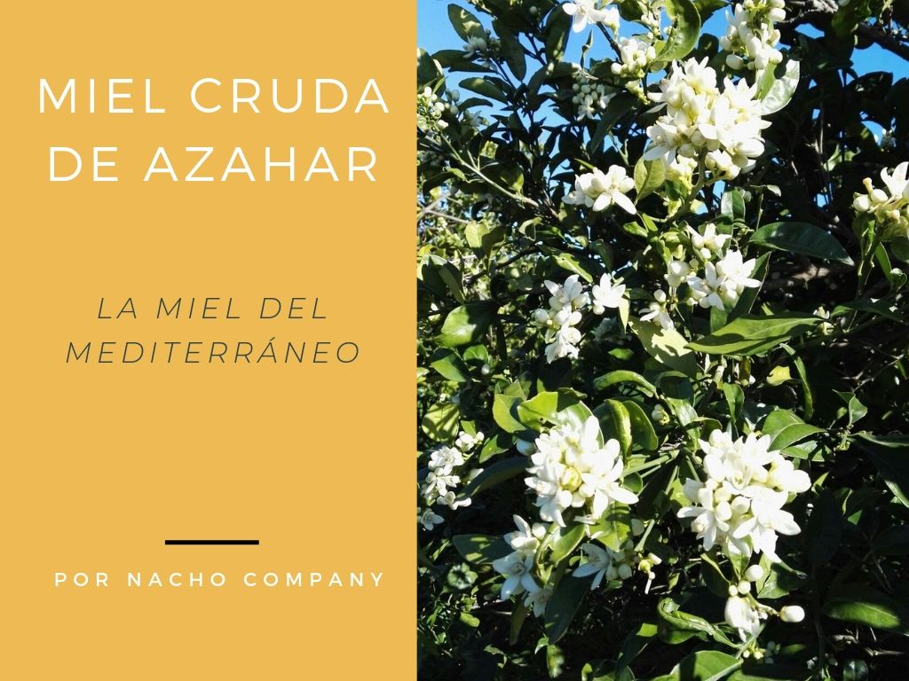 Miel cruda de azahar