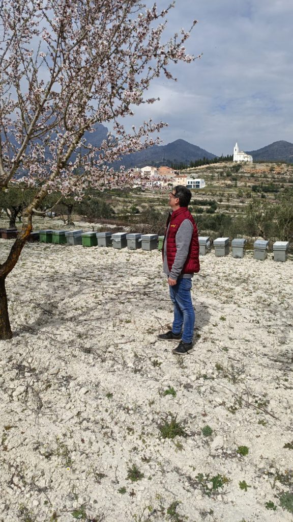 La mejor miel de españa 2023