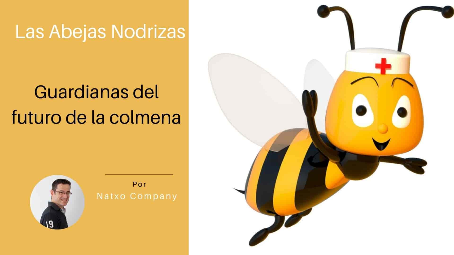 Abejas Nodriazas