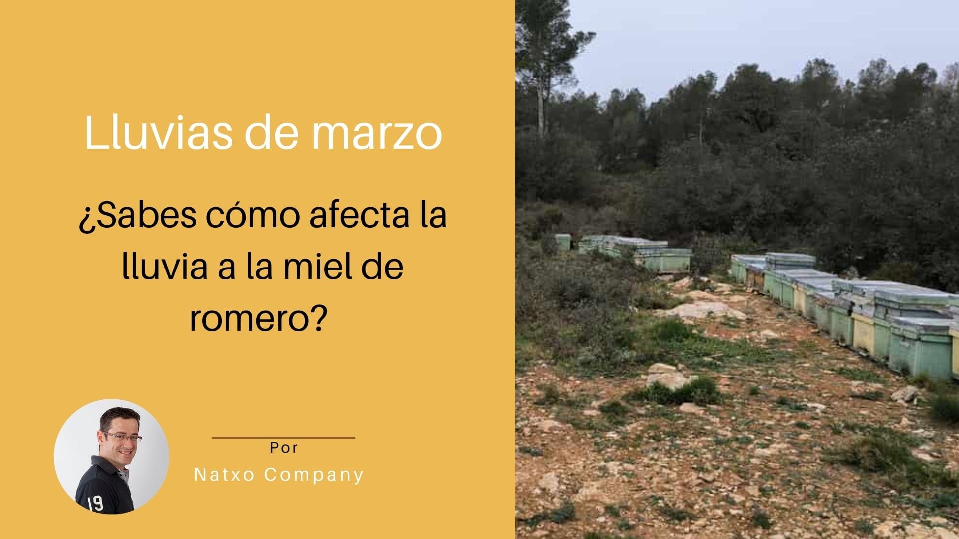 Miel de Romero 2025 - Cosecha de Apicultor