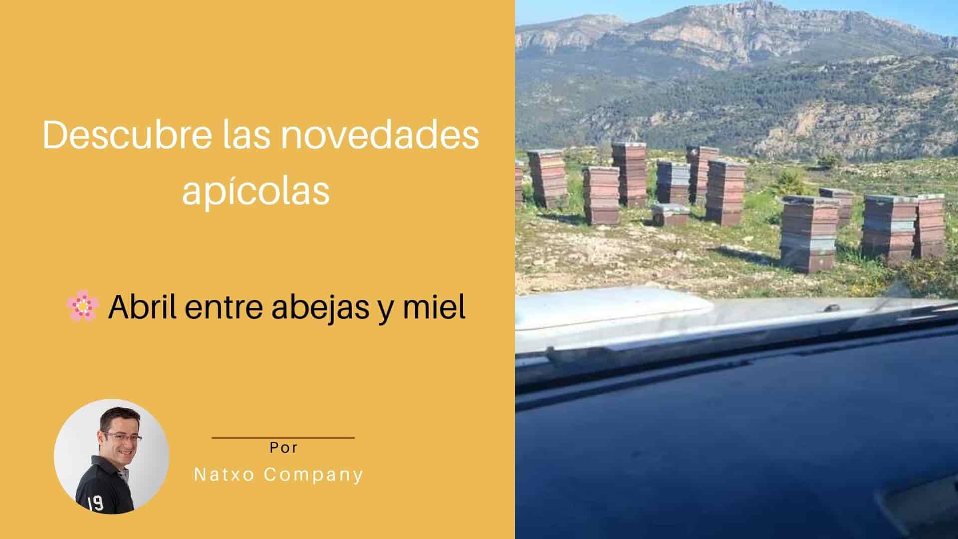 Cosecha Miel de Romero 2025