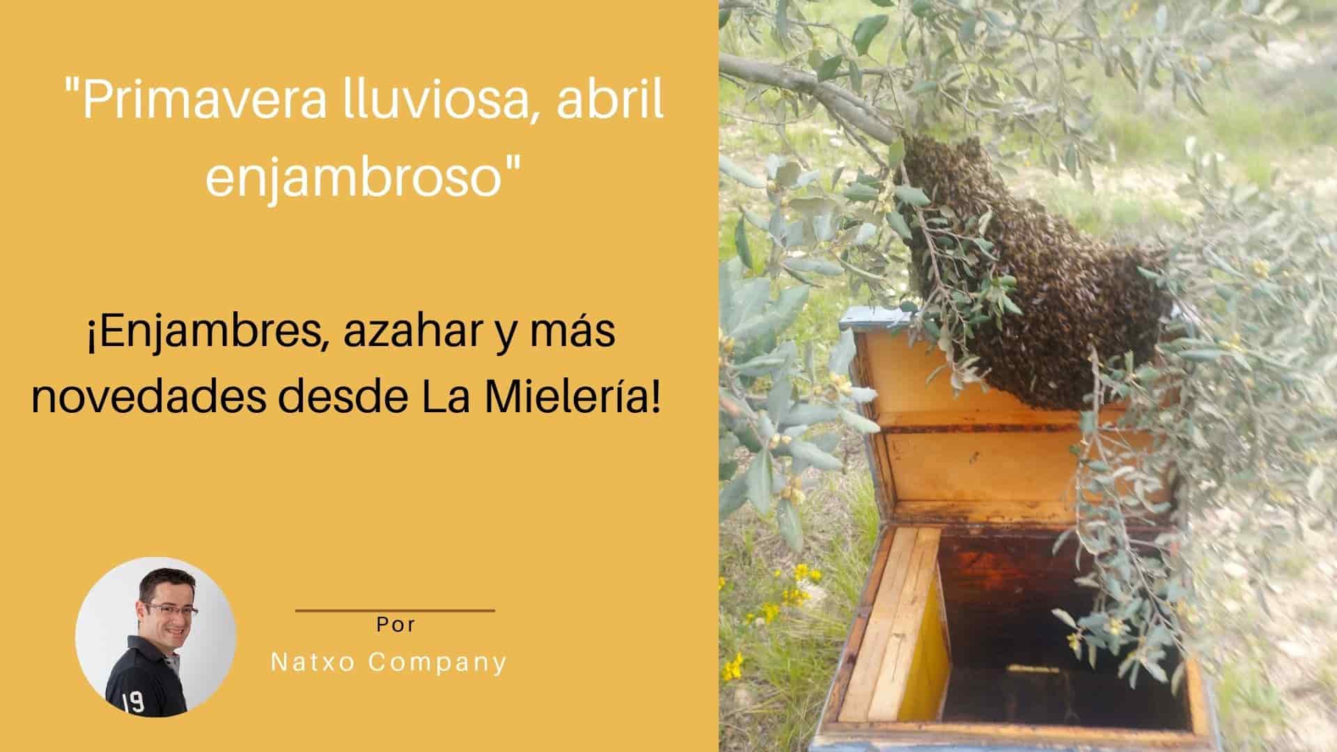 Que es un enjambron de abejas