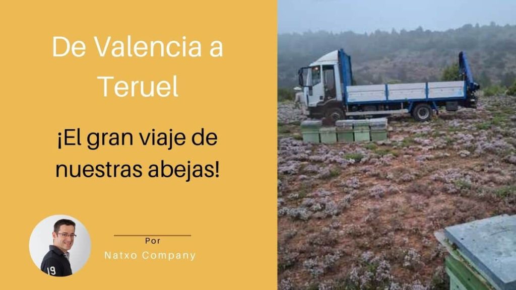Cosecha Miel de Tomillo 2025 - 2026