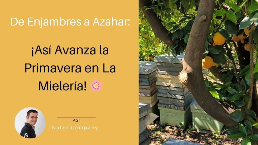 Miel de Azahar 2025 - Valencia - Apicultor