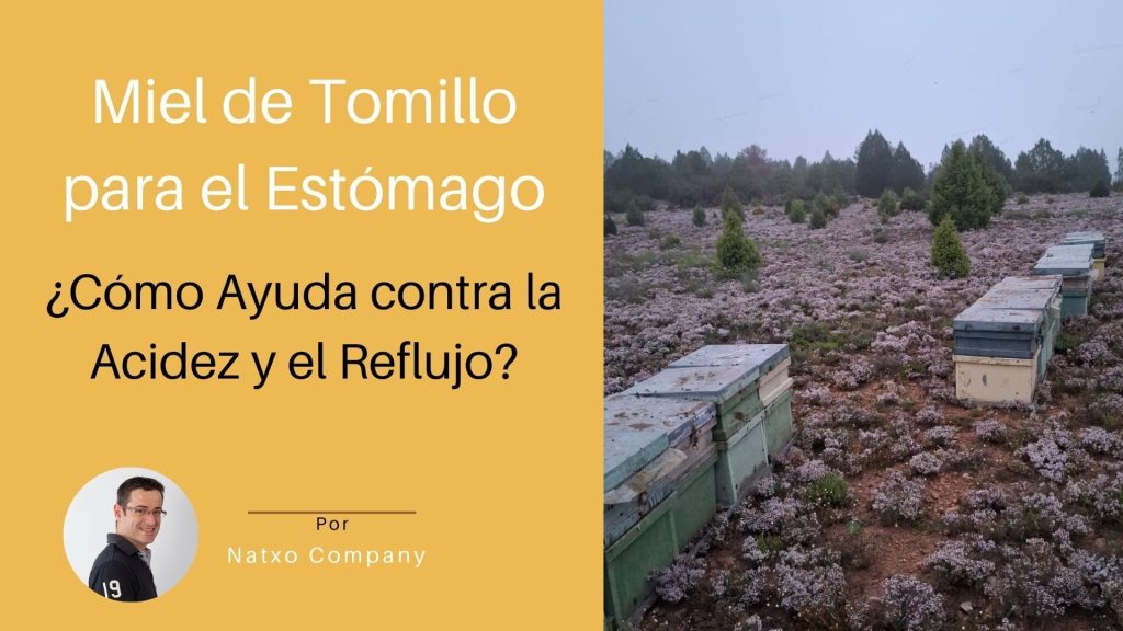 Miel de tomillo para el sistema digestivo