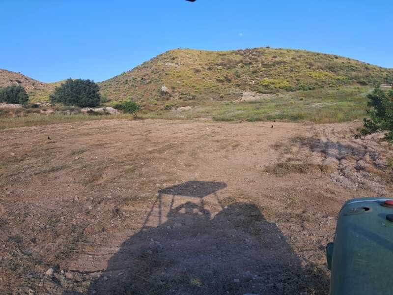 preparando el terreno para dejar colmenas