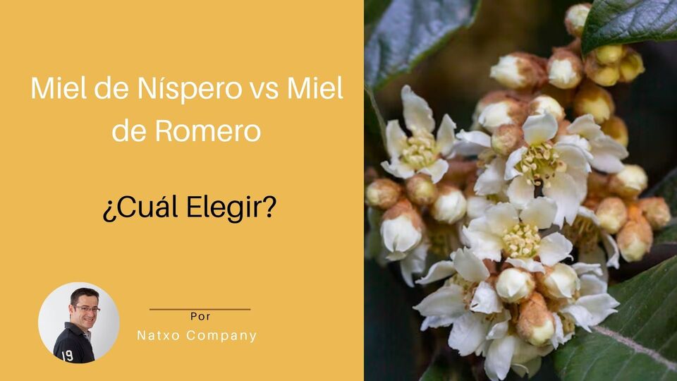 miel de nispero vs romero