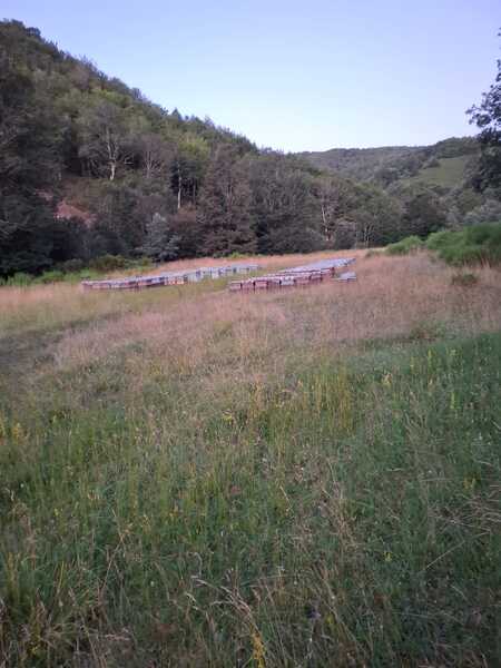 miel de roble en logroño