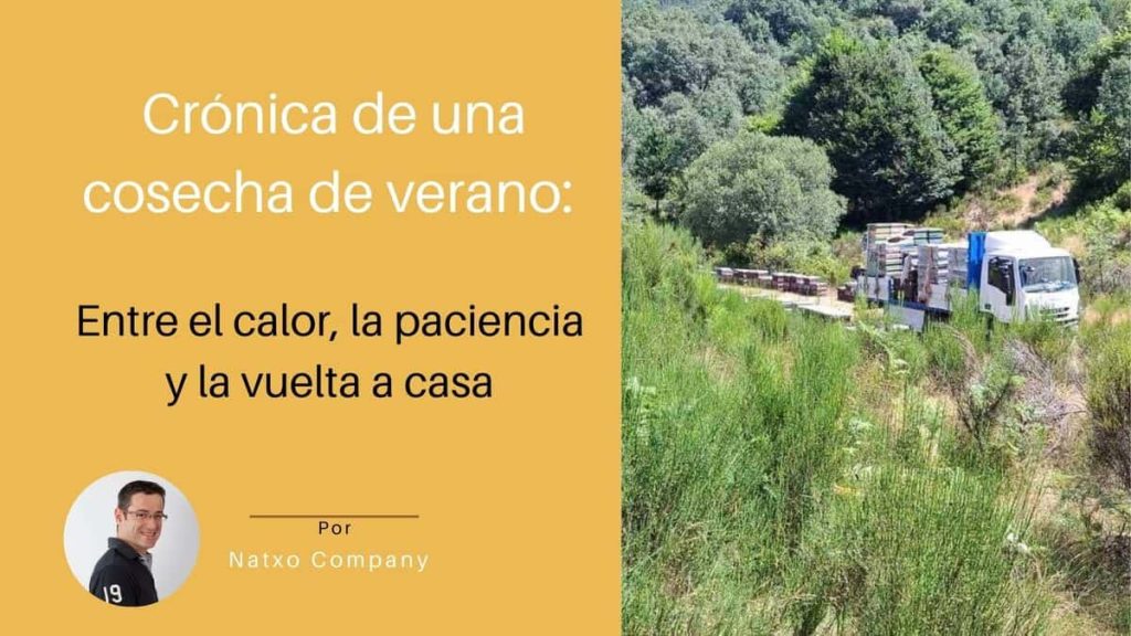 MIel de Espliego en Verano