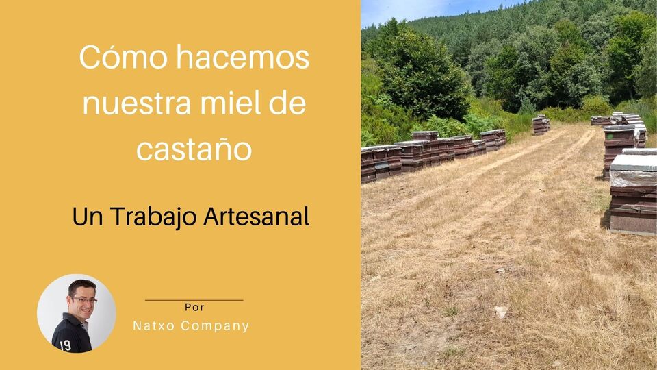 como hacemos miel de castano