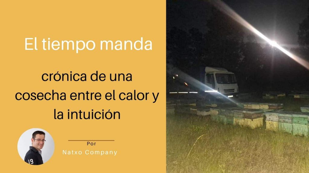 Cosechas de miel en verano