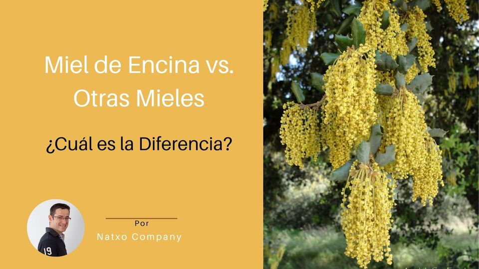 diferencias miel de encina
