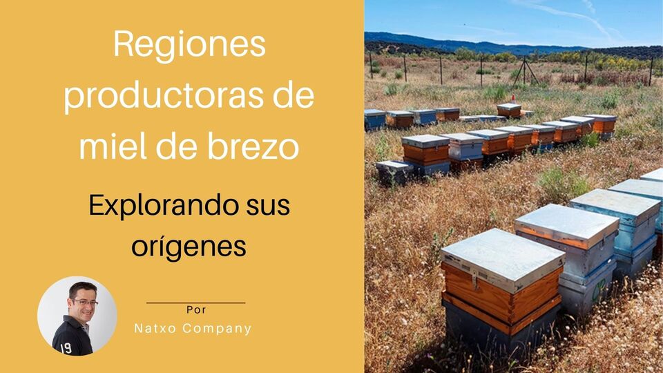 regiones productoras miel de brezo