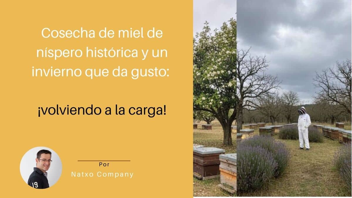 Cosecha de Miel historica