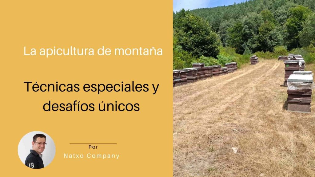 apicultura miel de montaña