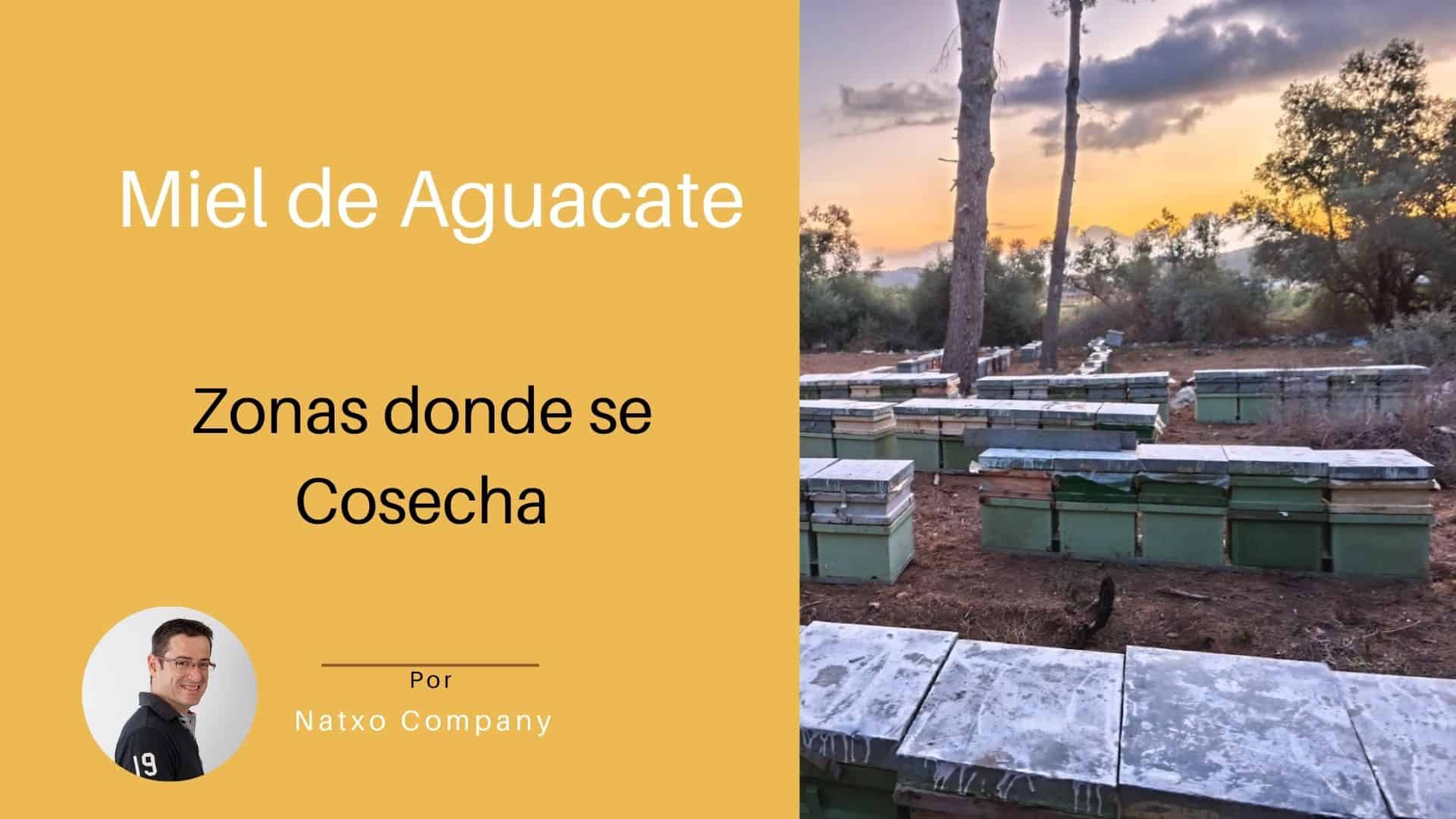 zonas cosecha miel de aguacate