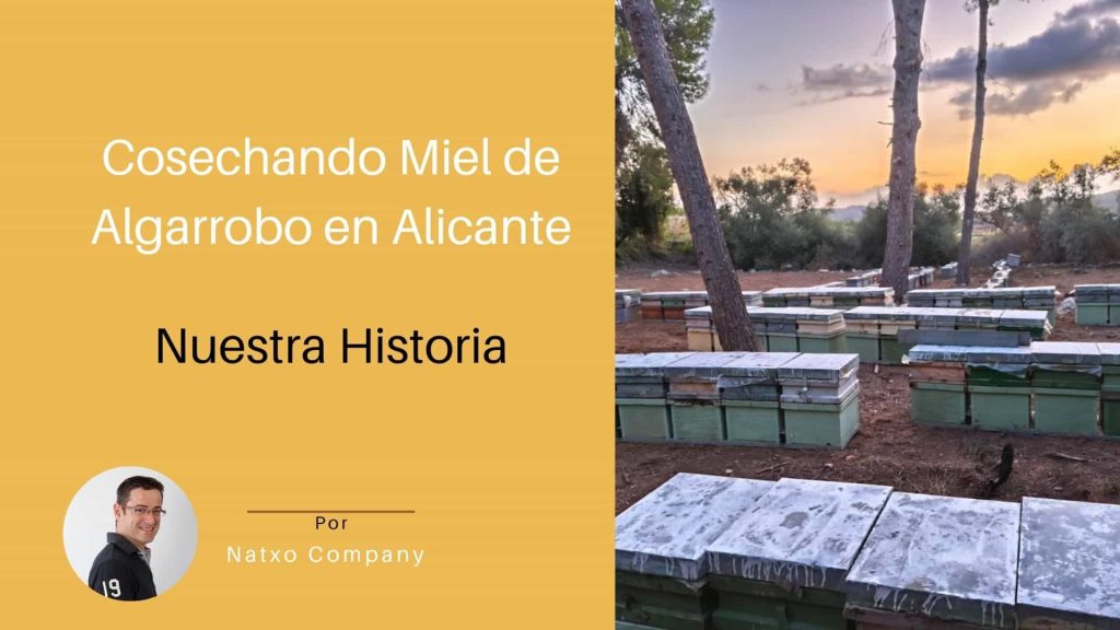 cosecha de miel de algarrobo