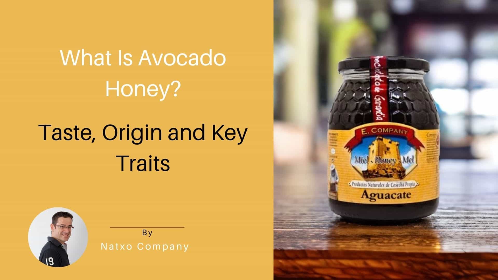 what is avocado honey