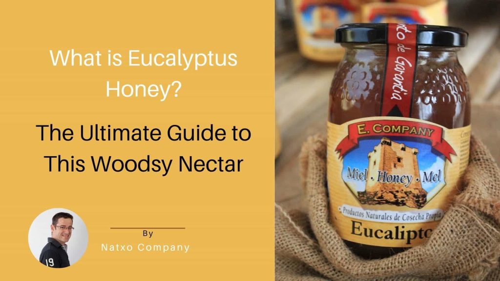what is eucaliptus honey