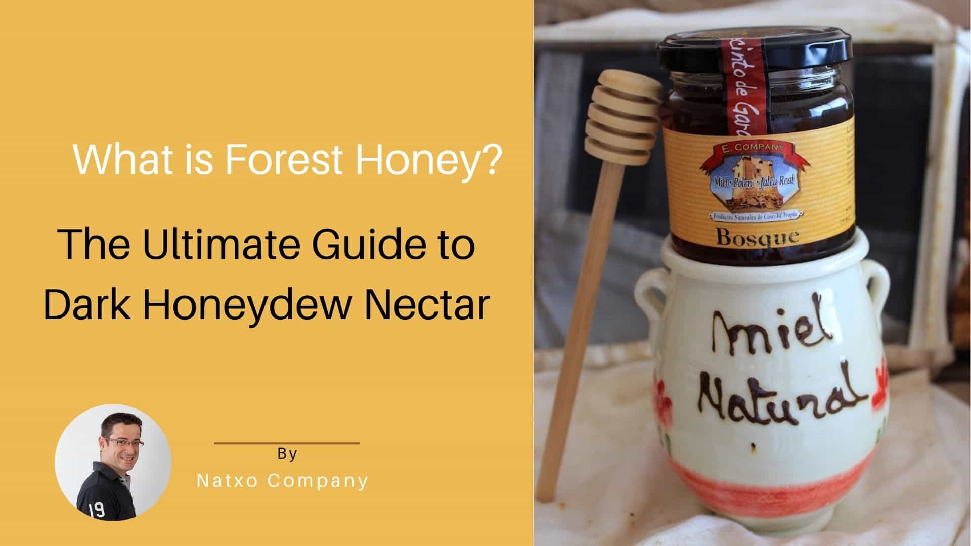 what is forest honey
