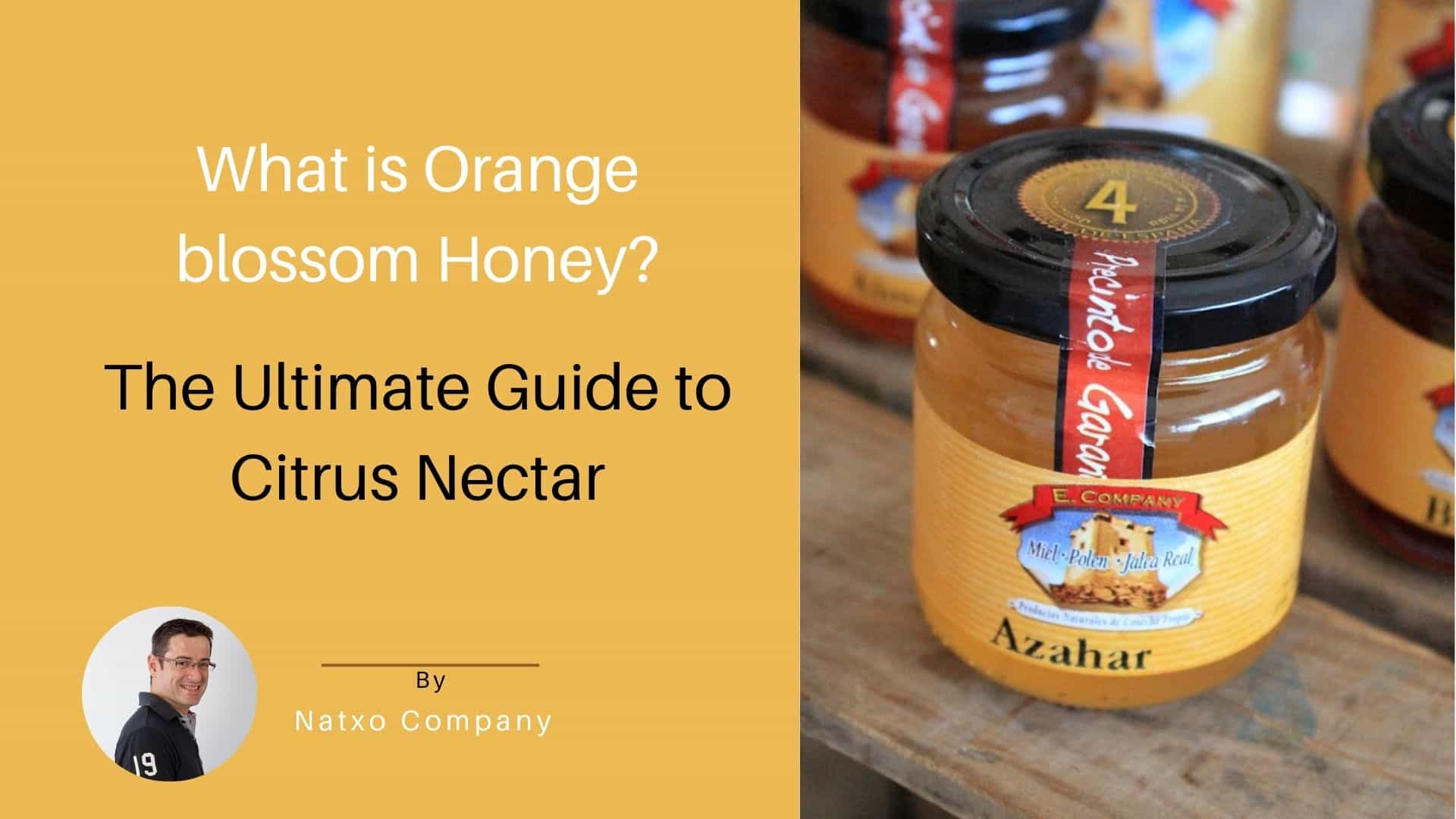 what is orange blossom honey