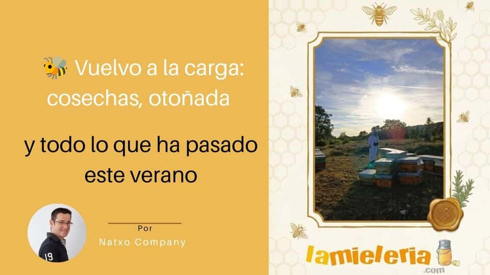Miel directa del apicultor - mejor miel 2027