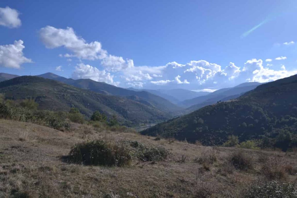 Sierra de la demanda - miel natural de roble