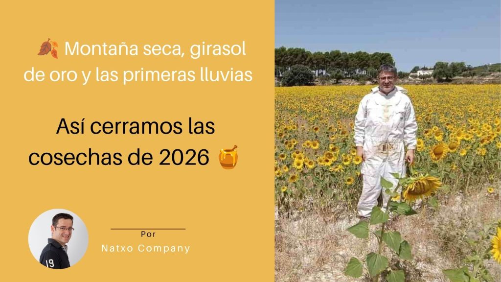 cosecha de girasol 2027